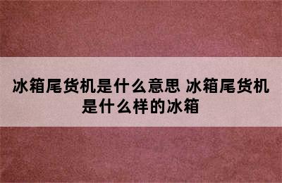 冰箱尾货机是什么意思 冰箱尾货机是什么样的冰箱